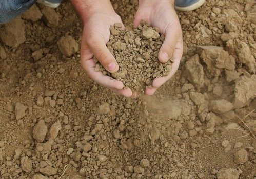 La Junta aprobará una línea de ayudas para las explotaciones afectadas por sequía extrema