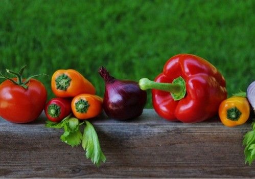 La secretaria de Estado de Agricultura y Alimentación defiende la importancia del sector ecológico en España, “estratégico y prioritario”