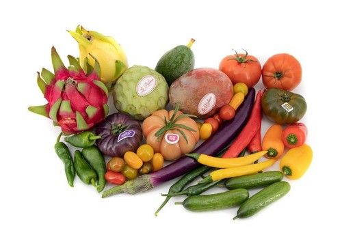 Cooperativa La Palma: agricultura con propósito social, medioambiental y cooperativo