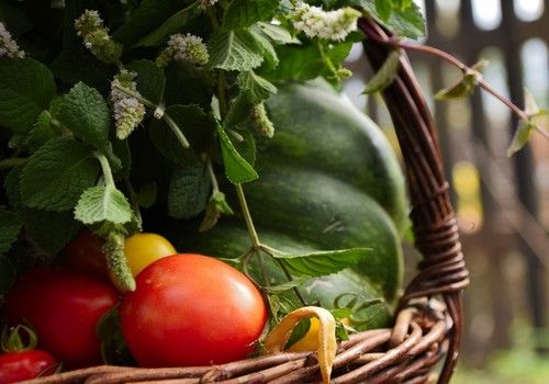 La agricultura ecológica gana terreno en España al incorporar 316.550 nuevas hectáreas en 2023, un 12 % más que en 2022