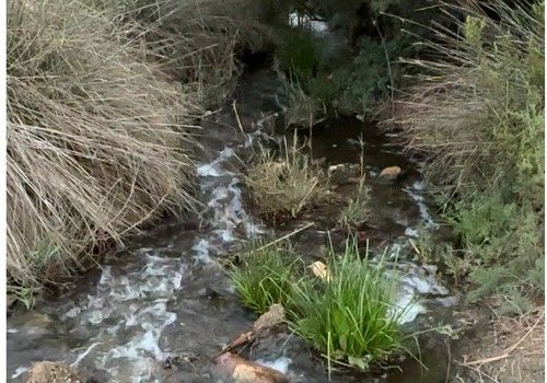 La EDAR de El Toyo desperdicia cerca de 2 h3 al año, un agua que podrían ser aprovechada por los regantes de Cuatro Vegas