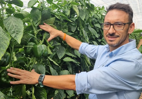 La gama IÓN crece y suma dos novedades en rojo y otras dos en amarillo