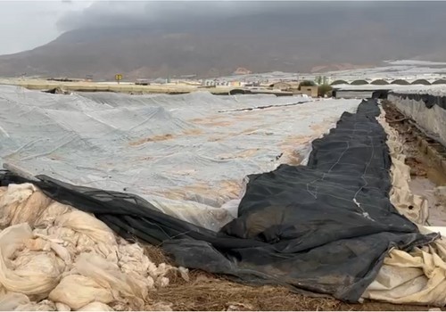 Destrozos en los invernaderos de El Ejido por la lluvia y el granizo de la DANA