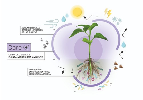 Neoforce® Soil aumenta la rentabilidad de los cultivos hortícolas