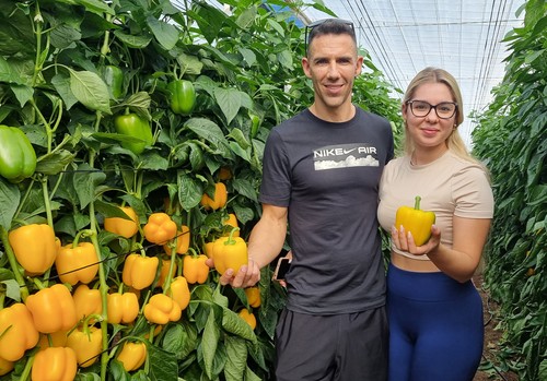 Belenus (HMC 57442), el 'California amarillo más esperado' llega a la gama IÓN de HM.CLAUSE
