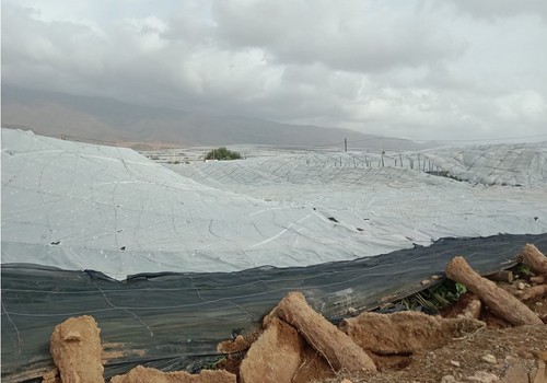El Ministerio de Agricultura, Pesca y Alimentación destina 444,5 millones de euros para ayudar a los agricultores y ganaderos afectados por la dana