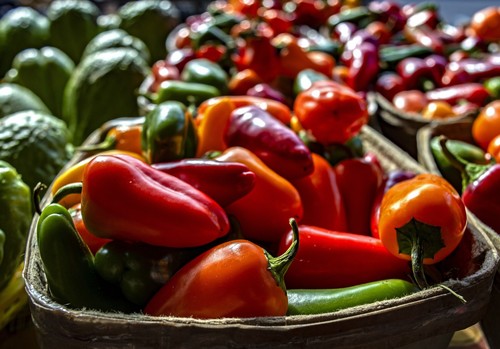 El Ministerio de Agricultura, Pesca y Alimentación destina más de 1,5 millones de euros a 1.060 explotaciones agrarias de titularidad compartida