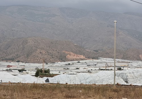 El Ministerio de Agricultura habilita el teléfono 900 925 782 para facilitar información a los agricultores y ganaderos afectados por la dana