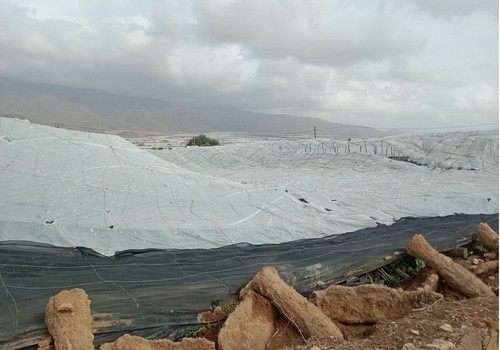 Las ayudas a la renta para los agricultores y ganaderos afectados por la dana están exentas del IRPF y del Impuesto de Sociedades