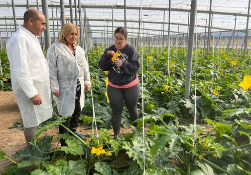 La Junta favorece el relevo generacional en el campo andaluz con 130 millones para jóvenes agricultores