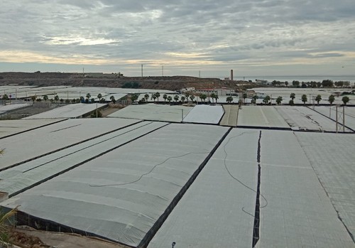 COAG Almería consigue eliminar el cómputo del IVA de la producción en el sistema de módulos