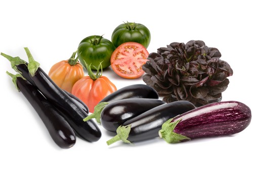 Solöamino®: “El producto que está revolucionando la productividad agrícola bajo invernadero”