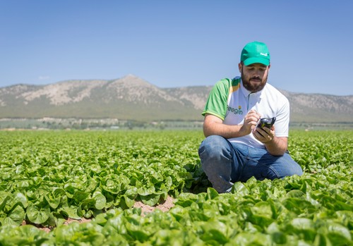 Peregrín destaca los beneficios de la certificación GLOBALG.A.P. y la etiqueta GGN
