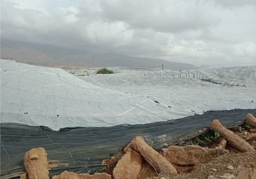 El Ministerio de Agricultura convoca la línea ICO-MAPA-SAECA por 53,1 millones para facilitar el acceso a la financiación a explotaciones agrarias afectadas por la DANA