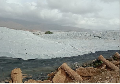 Abierto el plazo para solicitar las ayudas por 53,1 millones de euros de la línea ICO-MAPA-SAECA para explotaciones agrarias afectadas por la dana