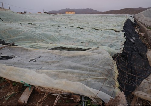 El Ministerio establece una cuantía mínima de 5.000 euros para la ayuda directa a las explotaciones agrarias afectadas por la dana