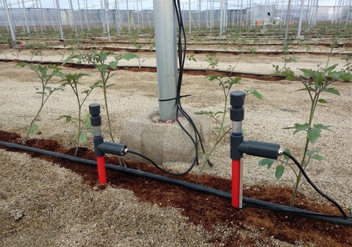 La agricultura más sostenible que alimenta Europa es también la más eficiente en riego