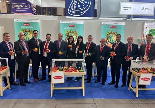 Vicasol conquista Fruit Logística con el nuevo proyecto de automatización y robotización en manipulado