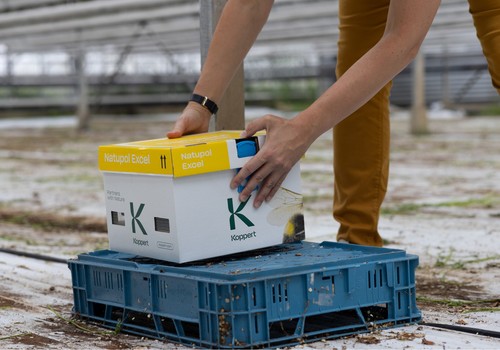 Las colmenas Natupol de Koppert, ahora con menos plástico y mejor rendimiento con temperaturas extremas