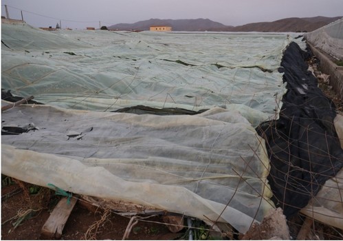 El Ministerio de Agricultura, Pesca y Alimentación realiza un nuevo pago a 1.136 agricultores y ganaderos afectados por la dana que eleva a 60,3 millones de euros el importe de ayudas abonado