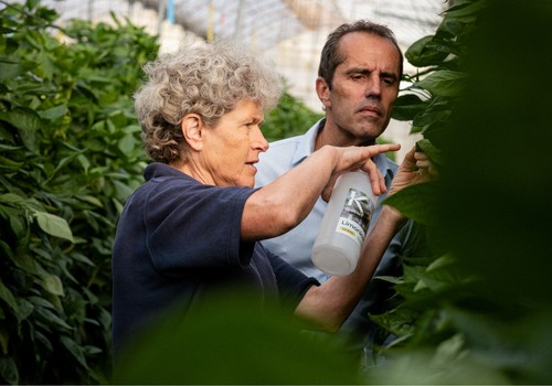 Las seis ventajas del control biológico que debes conocer para mejorar el control de plagas y enfermedades