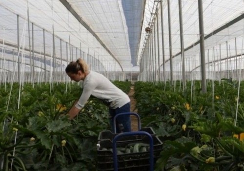 El Ministerio de Agricultura, Pesca y Alimentación organiza un encuentro con mujeres rurales el próximo 5 de marzo