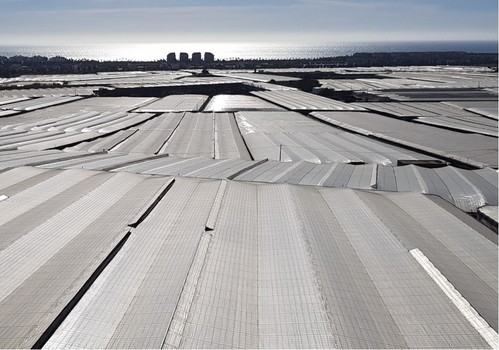 Cajamar adelanta las ayudas de la PAC 2025