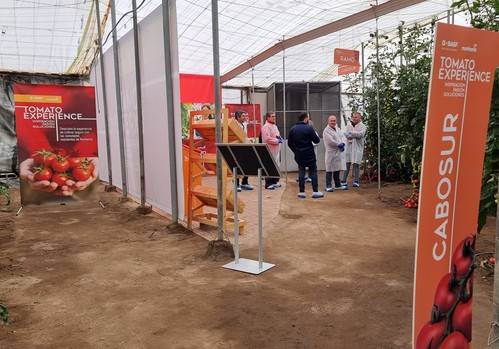 BASF | Nunhems ofrece su catálogo de tomate con resistencias como gran aliado hasta final de campaña