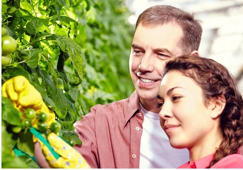 Los agricultores menores de 40 años son ya los principales usuarios de la línea de avales inversión y circulante de SAECA