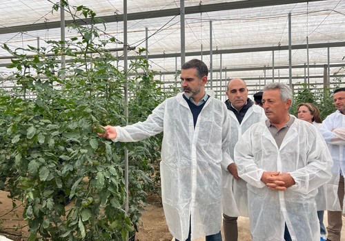 Andalucía exporta “innovación, calidad y un sabor inigualable” con los tomates que salen de Almería