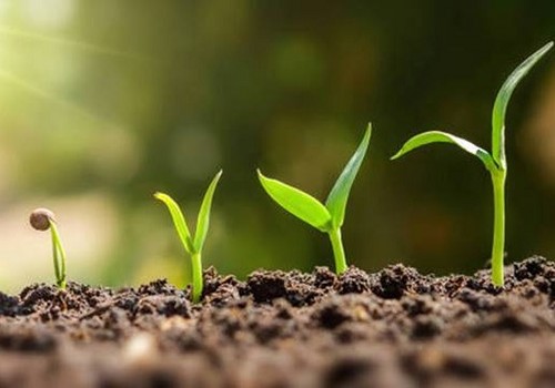 Las empresas de nutrición vegetal de mayor renombre mundial se concentran en Infoagro Exhibition
