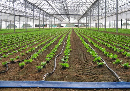 ASAJA Almería destaca la importancia del agua para la agricultura y la ganadería en un contexto de sequía