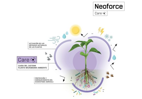 Neoforce® Defender, el biofungicida innovador de Fertiberia Tech
