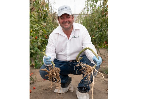 Bayer refuerza su línea de portainjertos con DRTX6695