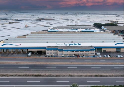 COEXPHAL crea una sección de empresas mercantiles para fortalecer la industria agroalimentaria con Agroponiente como presidente