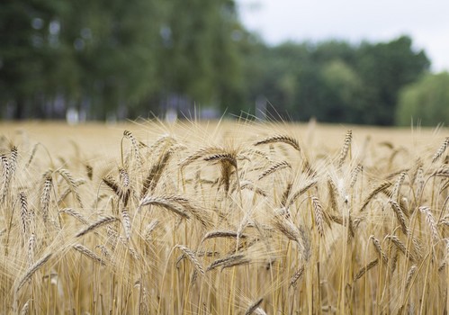El Ministerio de Agricultura, Pesca y Alimentación abre la inscripción en el curso de producción ecológica