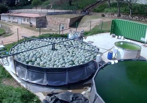 Desarrollan una innovadora tecnología verde para el tratamiento de aguas subterráneas contaminadas
