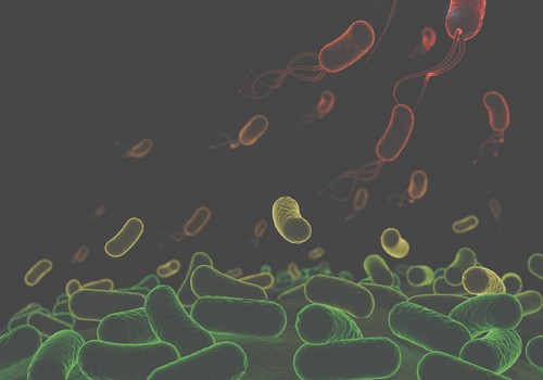 Bacterias que causan enfermedades en plantas colaboran para derrotar al sistema inmunológico vegetal