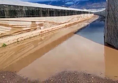 COAG Almería recuerda al ministerio de Agricultura las promesas fiscales no cumplidas ante la DANA y otros daños