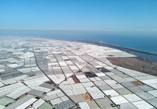 El apagón en el campo almeriense