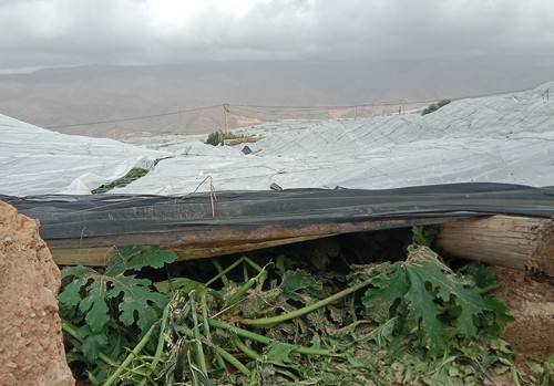 ASAJA y COAG, de Almería, unen fuerzas para conseguir la  inclusión de las frutas y hortalizas en la Orden de Módulos