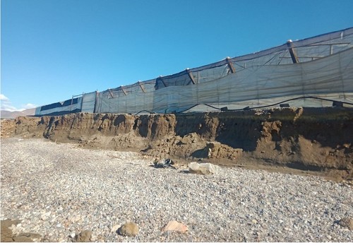 El Ministerio de Agricultura, Pesca y Alimentación convoca ayudas por 1,7 millones de euros para las explotaciones agrarias de titularidad compartida