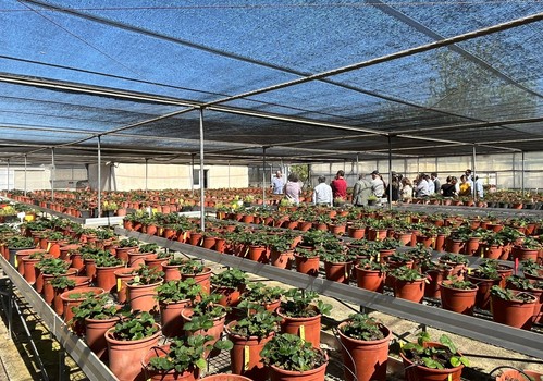 La Junta oferta más de 20.500 horas de formación agraria gratuita durante 2025 a través del Ifapa