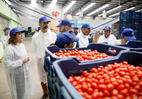 La Junta impulsa su liderazgo con el cultivo natural con una nueva Ley de Producción Ecológica ya en tramitación