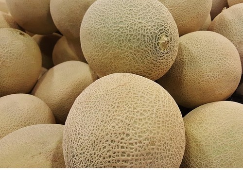 Los precios de las pizarras almerienses continúan bajando frente a sandía y melón, que mantienen buenas cotización