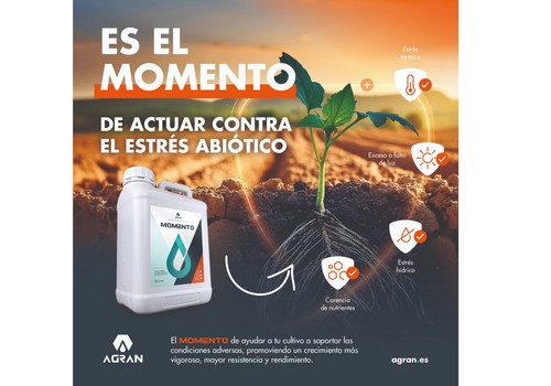 MOMENTO: La solución contra el estrés en cultivos que enfrentan condiciones extremas
