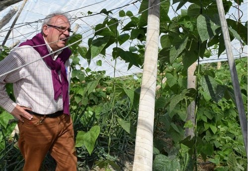 El alcalde de Vícar pide al Gobierno una rebaja fiscal para los agricultores que compense los daños por virosis y la mala climatología