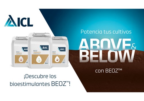 ICL lanza su potente gama de bioestimulantes BEOZTM para sacar el máximo potencial de los cultivos