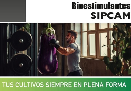 Los bioestimulantes de SIPCAM Iberia se convierten en ‘entrenadores personales’