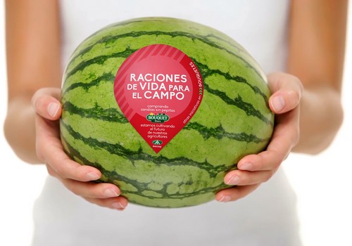 Sandías Bouquet: la clave está en la calidad, la innovación y la comunicación